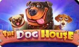 SweepLasVegas – The Dog House